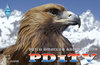 PD1TV Image